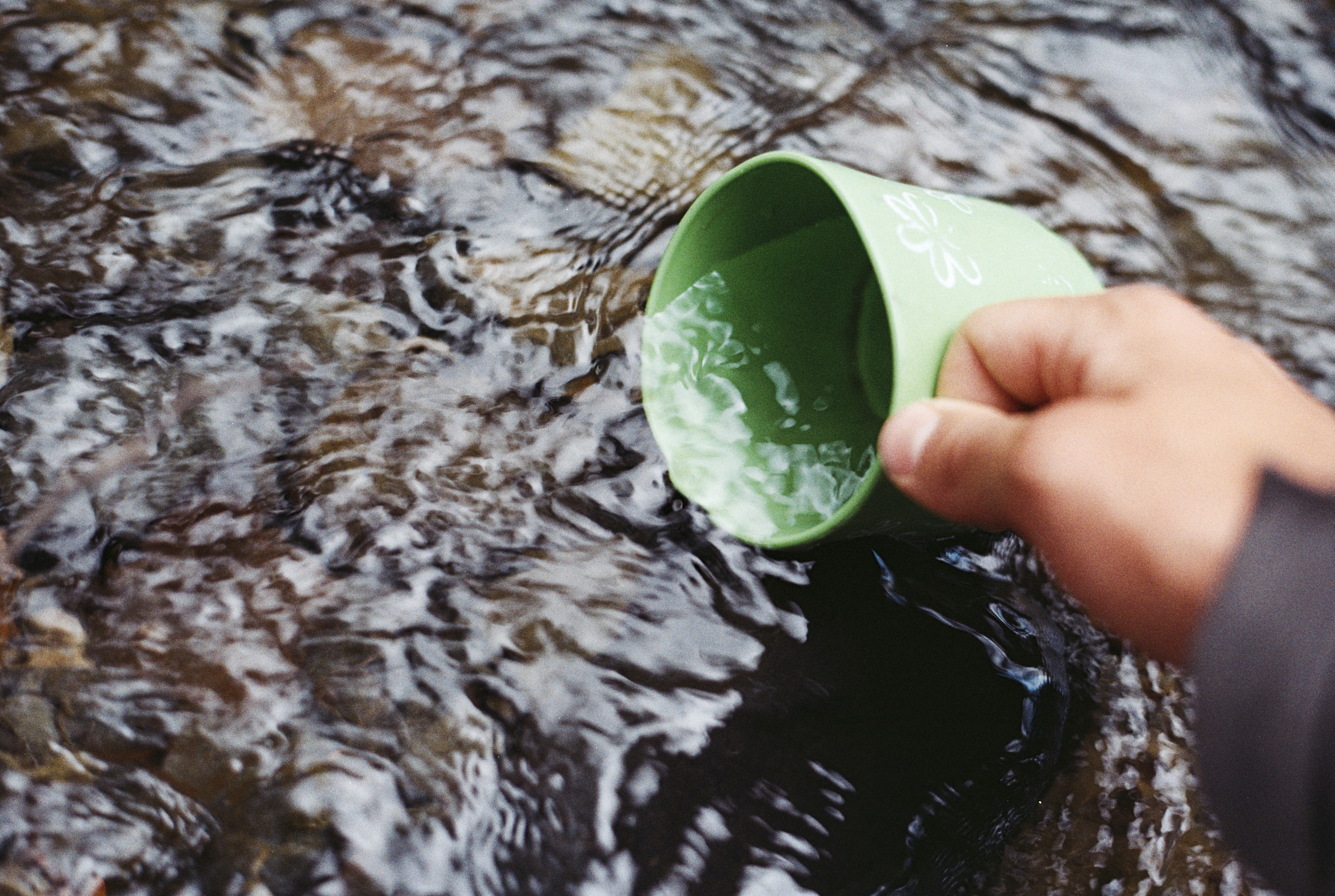 The Flint Water Crisis